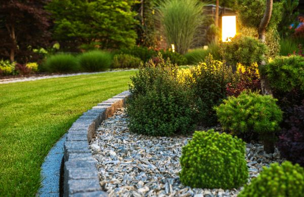 Cost of Bush Relocation in Mcallen