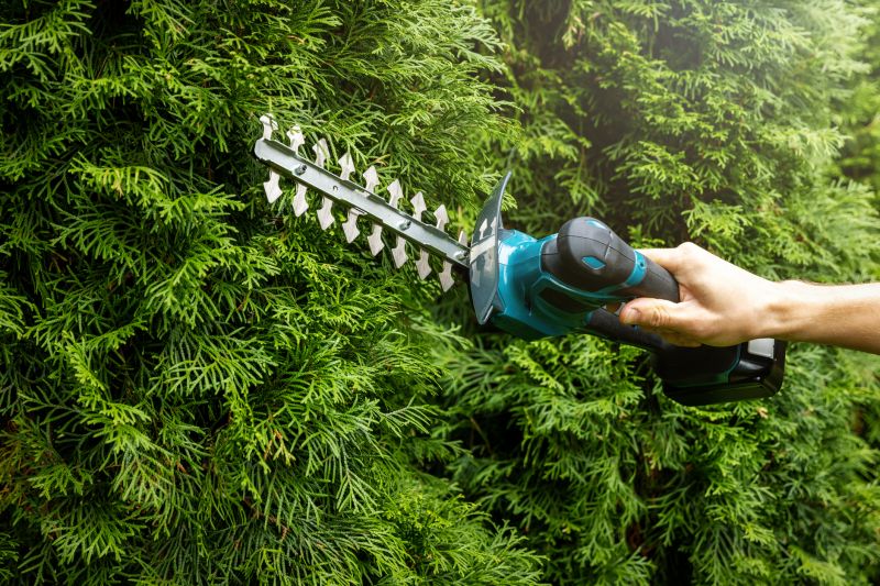 Evergreen Shrub Pruning